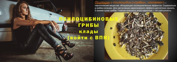 гидра Белокуриха